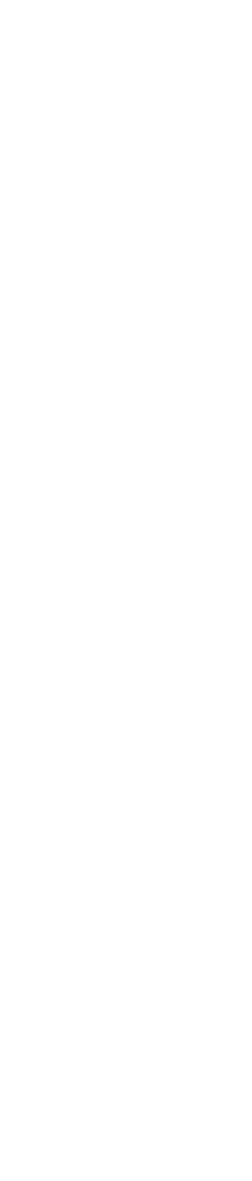Corso_Horizontal-Lockup_White_v