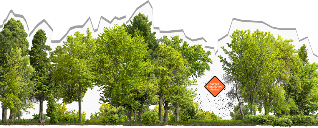 Sustainability Trees 4 Small