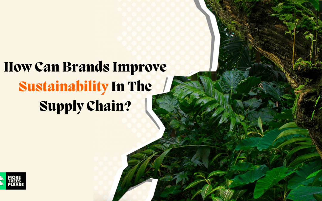 How Can Brands Improve Sustainability In The Supply Chain?