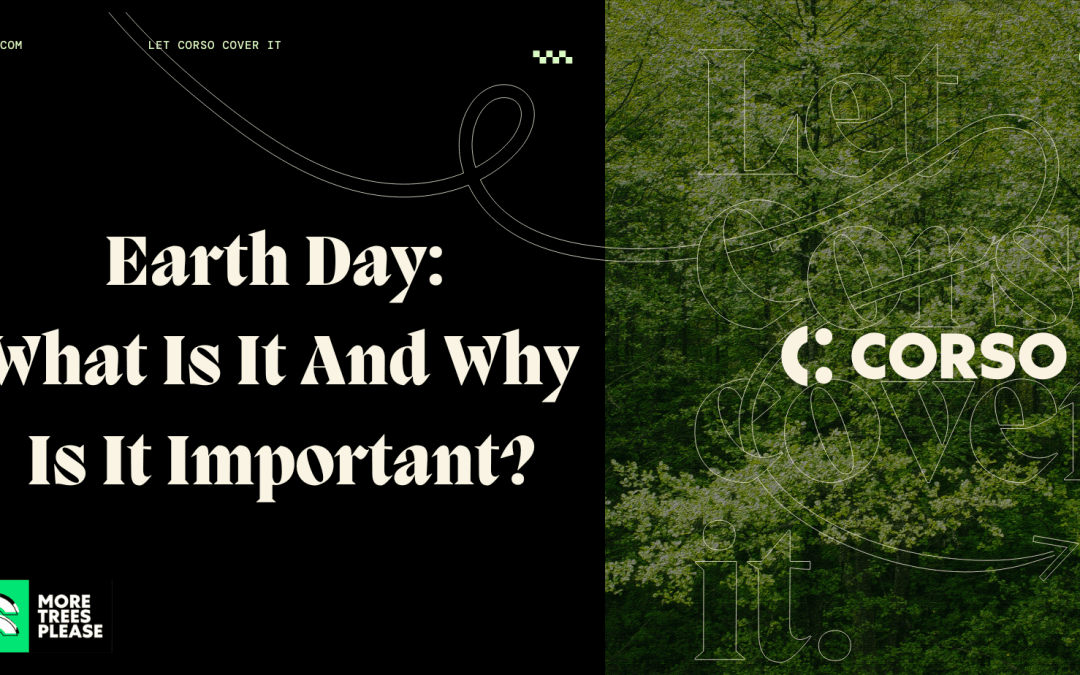 Earth Day: What Is It And Why Is It Important?